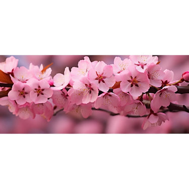 Cherry Blossom Wall Painting